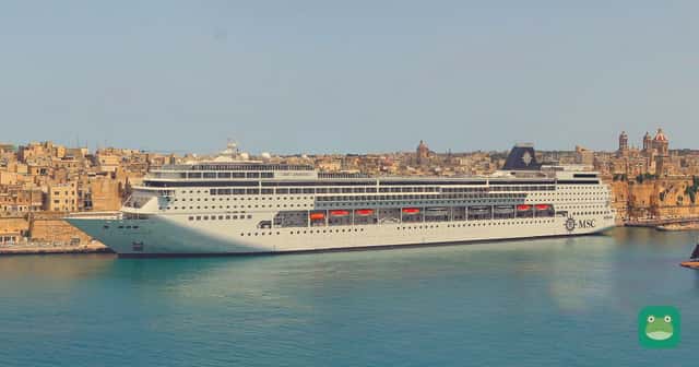 MSC Armonia in Malta, 2015 (file photo)