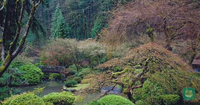 Portland Japanese Garden