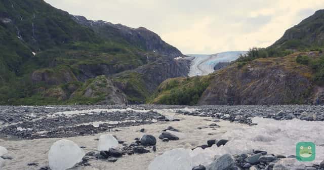Exit Glacier