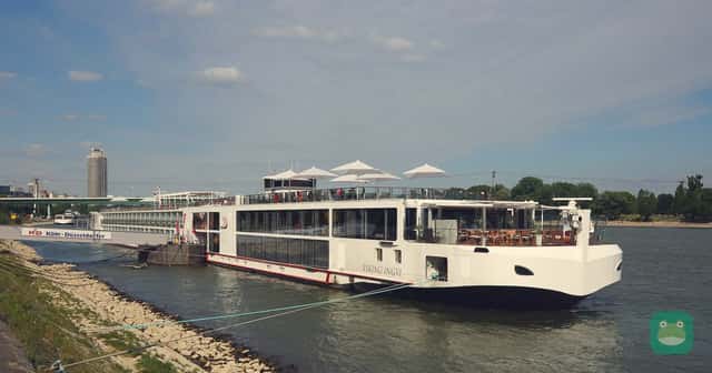 Viking Ingvi in Cologne, 2015