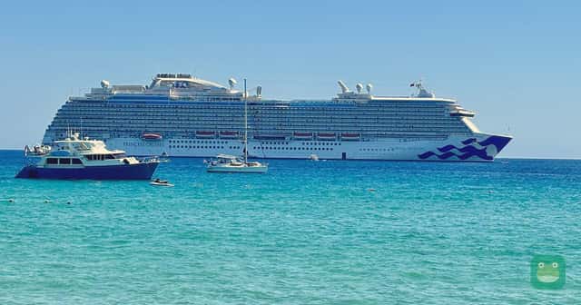 Majestic Princess off El Médano Beach, Cabo San Lucas, Mexico, November 2024